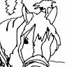 Horse & Sleigh Illustration